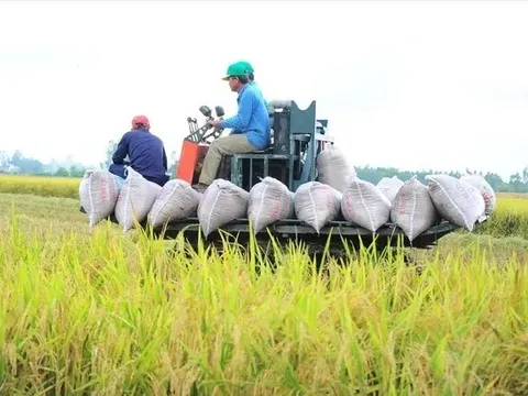 Việt Nam thu về 33,8 tỷ USD từ xuất khẩu nông sản, giao thương với Mỹ tăng mạnh