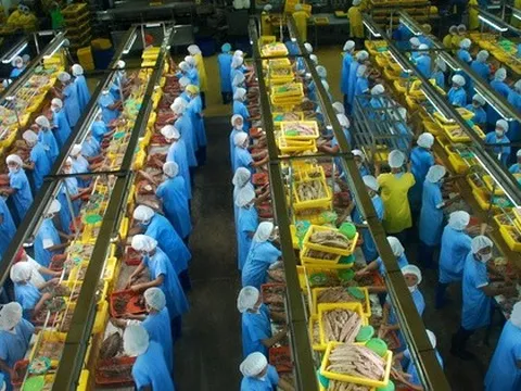 "Mỏ vàng" tỷ đô của Việt Nam khiến nền kinh tế giàu top 40 thế giới khao khát: Tăng trưởng sốc gấp 69 lần chỉ sau 3 năm