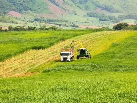 Quảng Ninh: Một nhà đầu tư đề xuất dự án 5 tỷ USD tại KCN Hải Hà