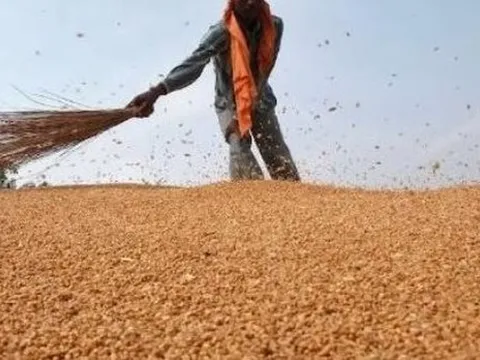Hàng trăm nghìn tấn ‘báu vật’ từ Nga vừa đổ bộ vào Việt Nam: Thuế nhập khẩu 0%, Moscow đang là 'ông trùm' xuất khẩu của thế giới