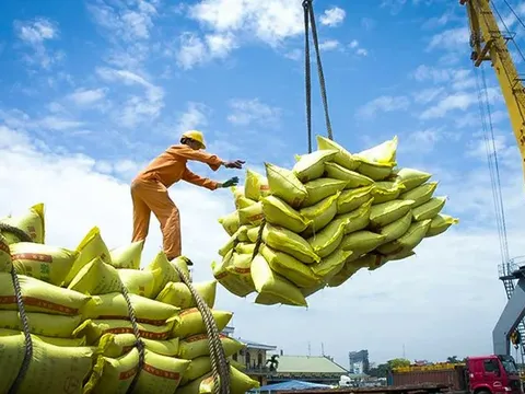 Giá gạo xuất khẩu nửa đầu năm giảm
