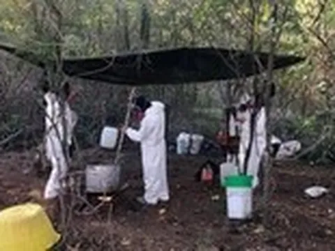'Sát thủ thầm lặng' fentanyl - Kỳ 3: Điều chế bí mật fentanyl tử thần ở Mexico