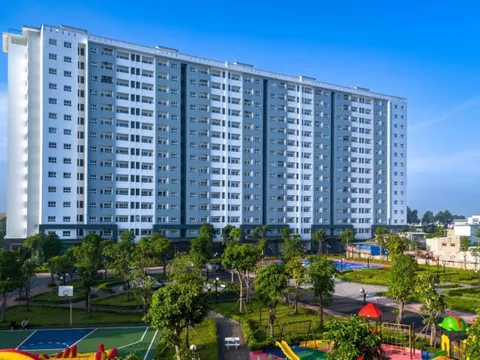 Conic Boulevard “đưa rừng” vào khu dân cư – Sống xanh giữa lòng thành phố