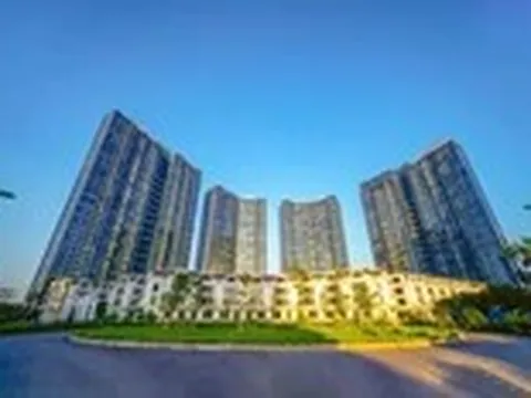 Phiên livestream đặt giá NobleGo: Khách sở hữu căn hộ Sunshine City rẻ hơn 2 tỉ đồng