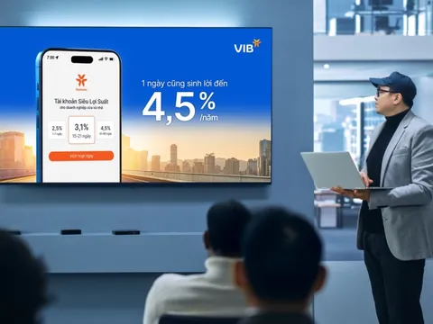 Từ cá nhân đến doanh nghiệp: Tài khoản Siêu Lợi Suất VIB tái định nghĩa giá trị về tiền nhàn rỗi