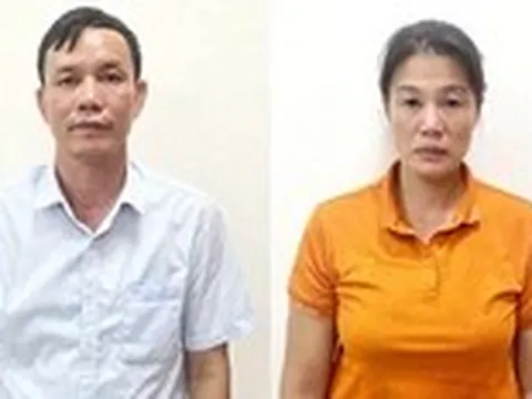 Khởi tố chủ tịch HĐQT Công ty TNHH MTV Lâm nghiệp Hoành Bồ