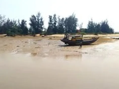 Hà Tĩnh đề xuất đầu tư 7 dự án từ nguồn tiền bồi thường của Formosa