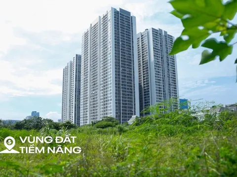 Toàn cảnh khu đất vàng rộng 6 ha vừa được thu hồi để xây nhà thấp tầng, đối diện dự án có biệt thự 1 tỷ đồng/m2 của Vinhomes