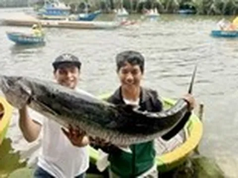 Nghề 'câu chơi, trúng thật' ở Đà Nẵng