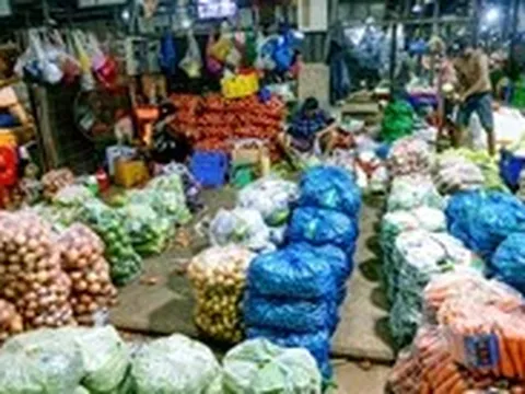 Túi ni lông phải sớm... hết thời