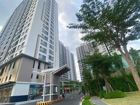 Giấc mơ an cư của người trẻ: chặng đường không dễ, nhưng có lối đi