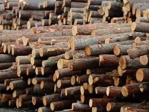 Mỹ giảm thuế xuống 20%, đã chi hơn 4 tỷ USD nhập khẩu cho ngành hàng 'hái ra tiền' này của Việt Nam