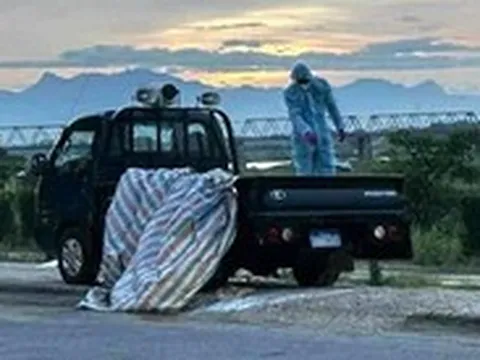 Chính quyền giải thích việc chôn heo bệnh gần sông Trà Khúc là 'chôn tạm'