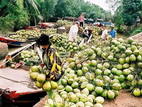 Khai phá thị trường mới, tiếp tục đưa trái cây Việt lên kệ hàng quốc tế