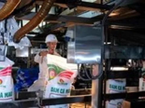PVCFC kết quả bứt phá - sức khỏe tài chính mạnh mẽ