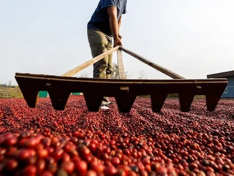 Quốc giá BRICS bị Mỹ áp thuế 50% một mặt hàng chiến lược, 8 triệu bao hàng chưa biết đi đâu về đâu