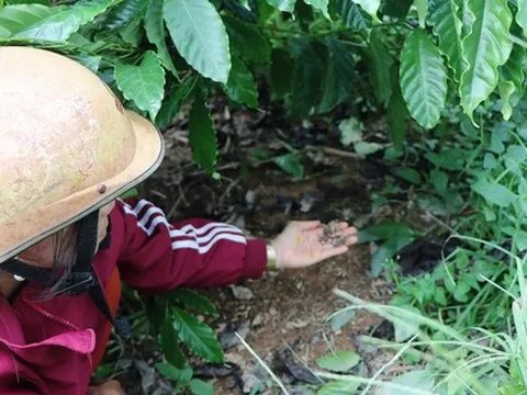 Hoang mang vì phân bón không tan sau gần 1 tháng