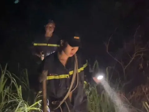 Đưa flycam, chó nghiệp vụ tìm kiếm thanh niên mất tích khi leo núi ở Nha Trang