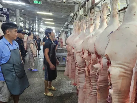 Giá thịt heo bình ổn giảm đến 10.000 đồng/kg