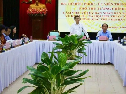 Đồng Nai kiến nghị Trung ương hỗ trợ ngân sách cho dự án cầu thay phà Cát Lái