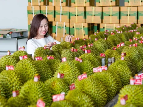 Đưa nông nghiệp Việt Nam vào top 15 thế giới năm 2030