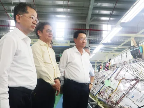 THACO là nhà đầu tư chiến lược trong định hướng phát triển của Đà Nẵng