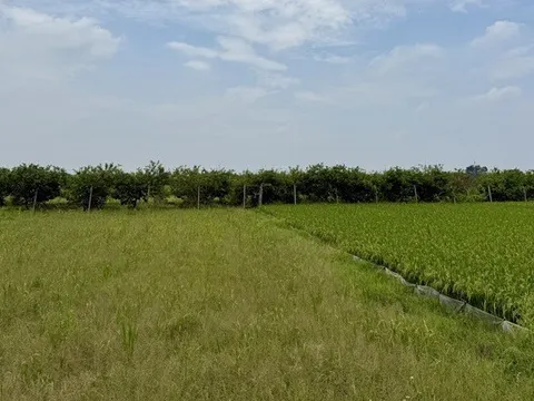 Hà Nội tiếp tục mời đăng ký thực hiện dự án nhà ở thương mại thông qua thỏa thuận về nhận quyền sử dụng đất