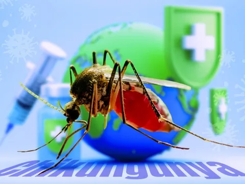 Tin tức sáng 17-8: TP.HCM đo thân nhiệt tại cửa khẩu phòng Chikungunya; Phong tỏa tài khoản SMC