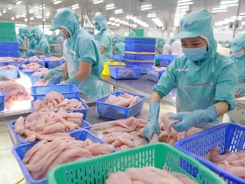 Vì sao cá tra là 'vua xuất khẩu' nhưng tiêu thụ nội địa èo uột?