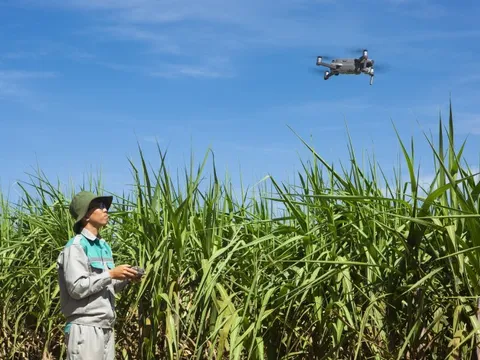 Nâng tầm nông nghiệp Việt bằng dữ liệu và số hóa
