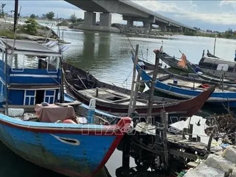 Chỉ đạo của Ban Bí thư về ứng phó với cơn bão số 5 (Kajiki)
