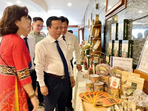 Nông sản Gia Lai rộng đường xuất khẩu chính ngạch sang Trung Quốc