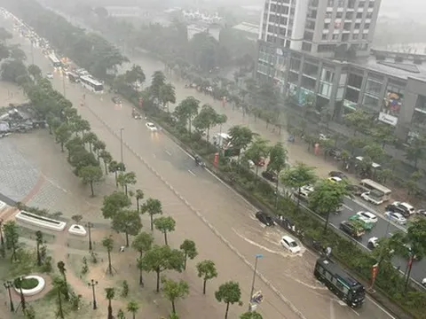Khu nhà giàu Ciputra được ví như "làng chài" bởi hễ mưa lớn là ngập trong "biển nước" nhưng giá biệt thự trăm tỷ/căn