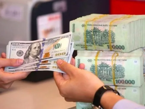 VND tiếp tục mất giá trong tháng 8, áp lực tỷ giá có thể đến từ tình trạng găm giữ USD khi NHNN đang thực hiện nới lỏng chính sách tiền tệ