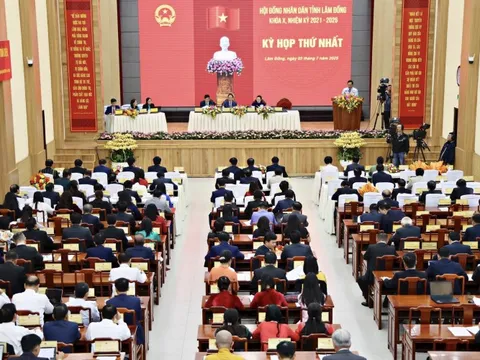 21 lãnh đạo cấp sở ở Lâm Đồng xin nghỉ hưu, thôi việc