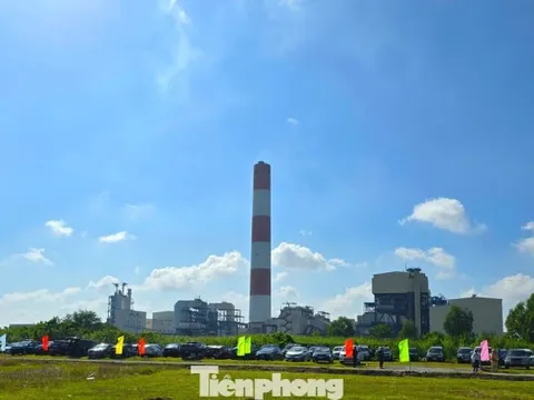 Cần Thơ thúc tiến độ mặt bằng cho dự án gần 1,3 tỷ USD
