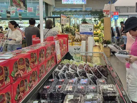 Nỗ lực giữ ổn định tỉ giá