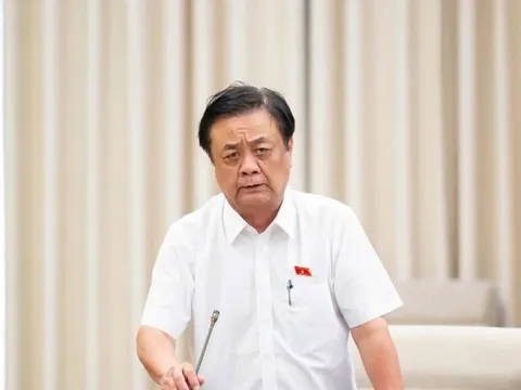 Không nơi nào trên thế giới có 'việc nhẹ lương cao', tại sao nhiều người vẫn bị lừa?