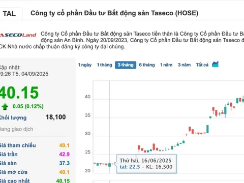 “Đọc vị” loạt nhà đầu tư rót vốn vào Taseco Land