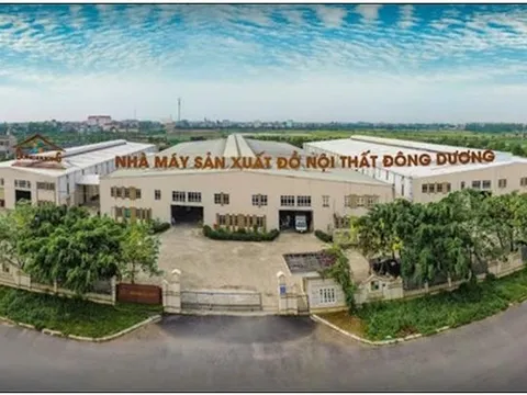 Xây dựng Đông Dương (DDB) bị phạt nặng vì công bố thông tin chậm và “vẽ” lợi nhuận ảo