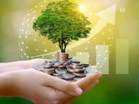 Những con số bất ngờ về thị trường vốn xanh ở Việt Nam