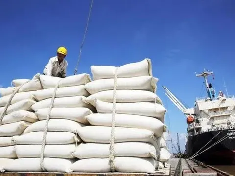 Philippines tạm dừng nhập khẩu gạo, Bộ Công Thương khuyến cáo doanh nghiệp