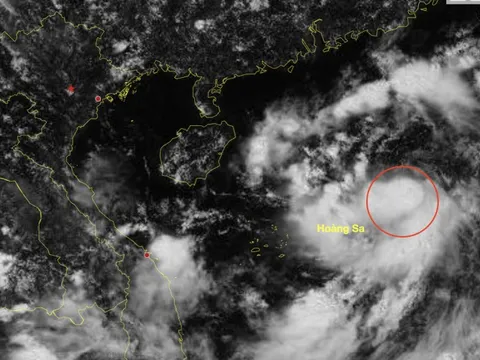 Dự báo tối nay bão Tapah hình thành trên Biển Đông, cường độ cực đại có thể đạt cấp 10