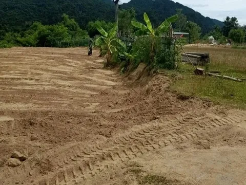 San đất để làm vườn, người dân Việt Nam phát hiện vật hình hộp màu xanh lạ, chuyên gia xác nhận báu vật hiếm có 600 năm tuổi
