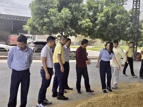 PVCFC tăng tốc mở rộng thị phần tại Campuchia