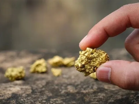 Phát hiện 2.500 kg vàng trị giá 7 tỷ đồng bị bỏ ngoài hố rác