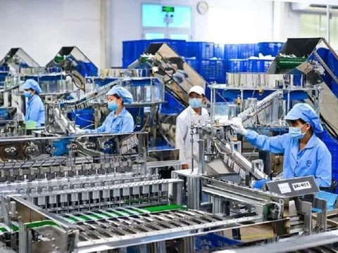 TPHCM ưu tiên phát triển AI, công nghệ sinh học, năng lượng sạch