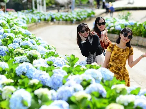 Thời tiết hôm nay 16-10: Bắc Bộ giảm mưa, Nam Bộ chiều mưa to