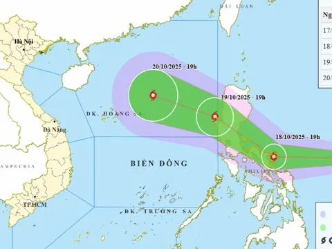 Biển Đông khả năng có bão số 12, các tỉnh từ Quảng Ninh đến Lâm Đồng báo ngay cho tàu thuyền