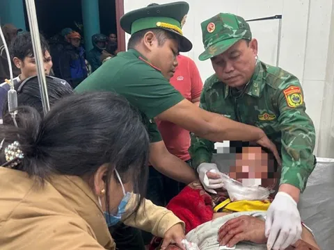 Người đàn ông ở Đà Nẵng bị gấu tấn công trên đường đi làm rẫy về